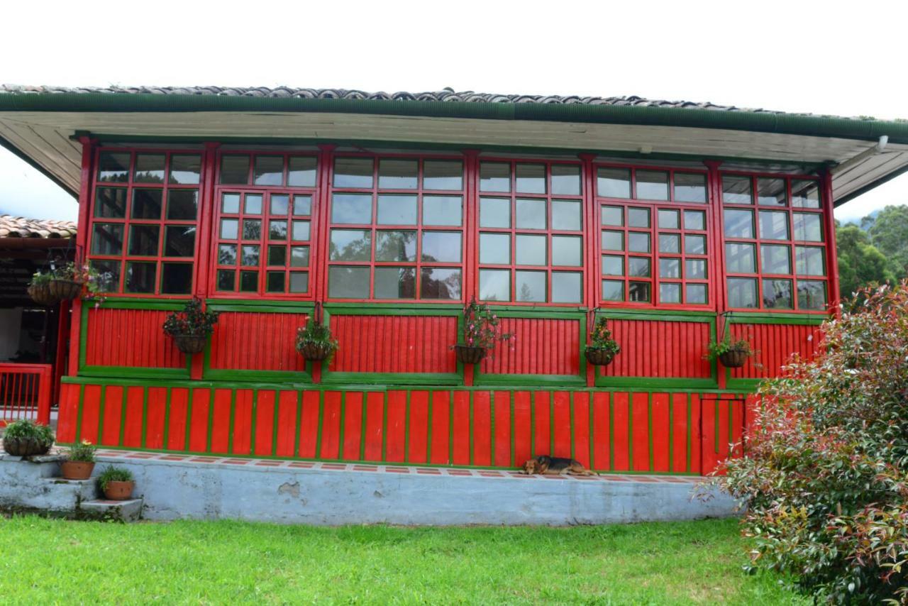 Ecohotel Pinohermoso Reserva Natural Salento Buitenkant foto