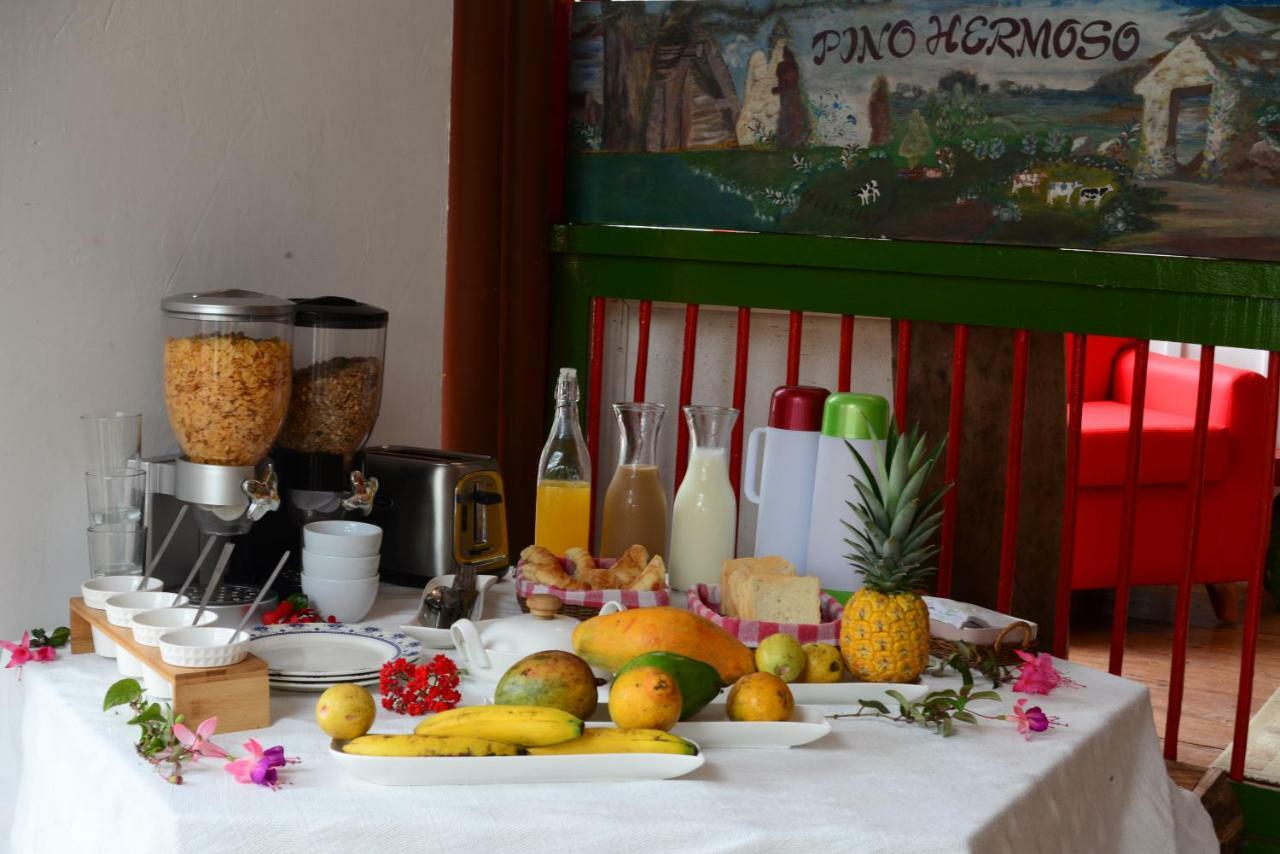 Ecohotel Pinohermoso Reserva Natural Salento Buitenkant foto