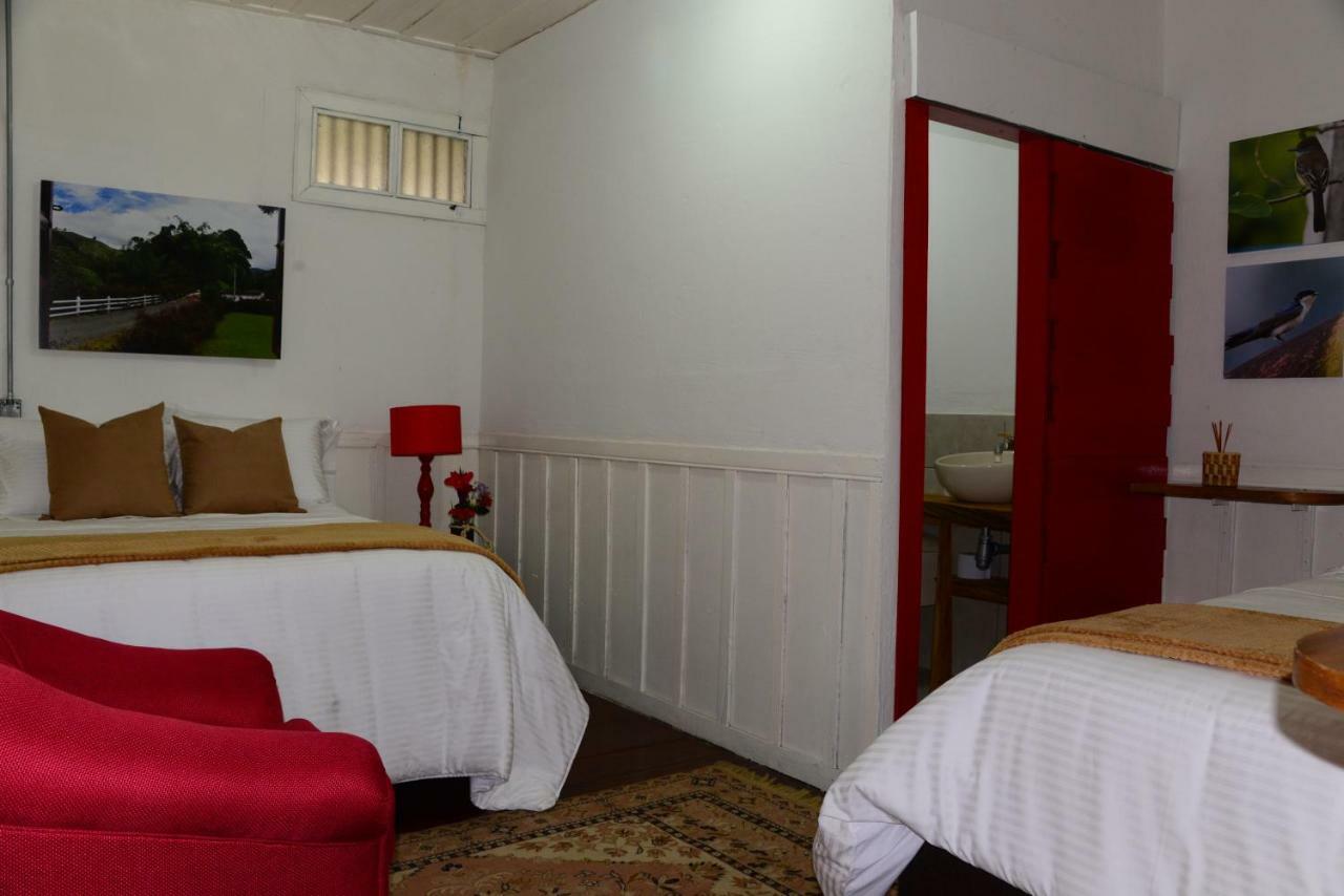 Ecohotel Pinohermoso Reserva Natural Salento Buitenkant foto